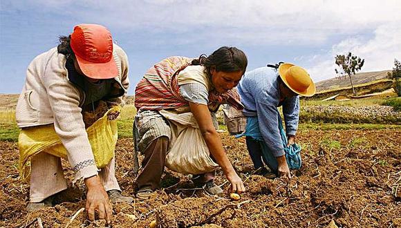 Otorgarán créditos a los pequeños agricultores con tasas de 3.5%, indicó Midagri. (Foto: GEC)