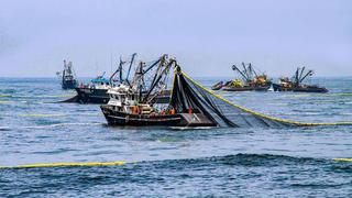 Sociedad Nacional de Pesquería: “Condiciones frías del mar son favorables para desarrollo de anchoveta”