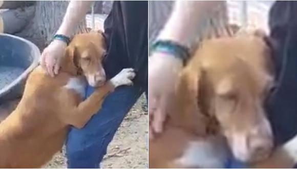 Periodista adopta a perro que conoció en reportaje (VIDEO)
