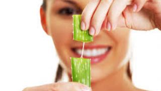 Aloe vera: Beneficios y aplicaciones 