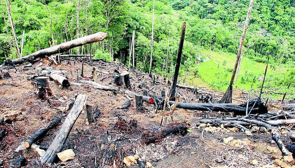 Minería ilegal y narcotráfico  están acabando con bosques en la región