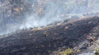 Extinguen tres incendios forestales en Áncash, Cusco y Pasco