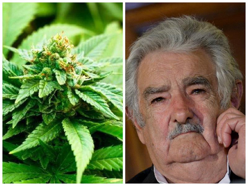 José Mujica pide no reprimir "a ciegas" el consumo de marihuana