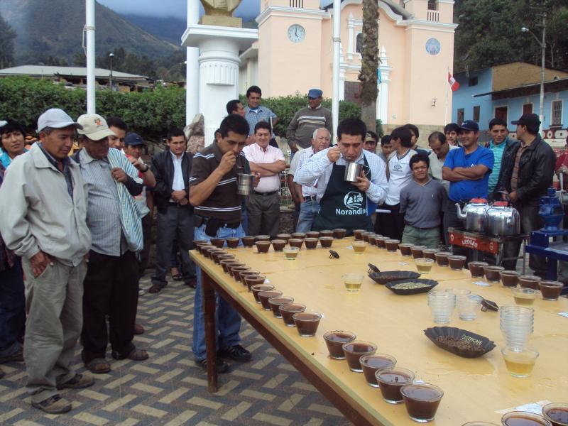 Eligen al mejor Café de Canchaque