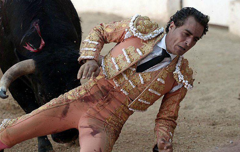 Muere el torero español I​ván Fandiño tras recibir una grave cornada (FOTOS)