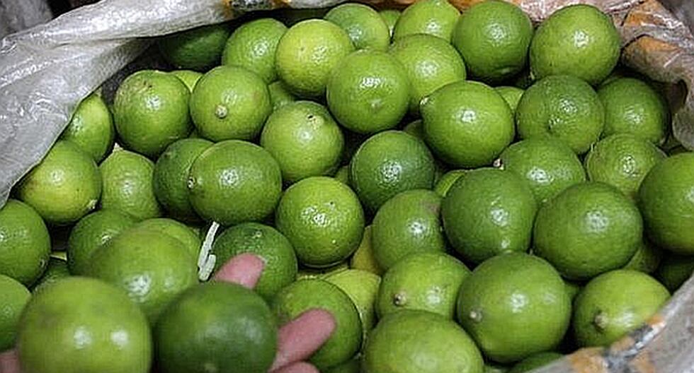 El precio del limón sube a S/8.00 el kilo Arequipa | Correo