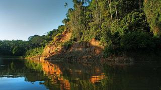 Amazonía: lanzan nuevas herramientas tecnológicas para combatir el cambio climático y la deforestación