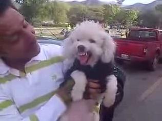 Perro se enoja cuando le preguntan por Hugo Chávez