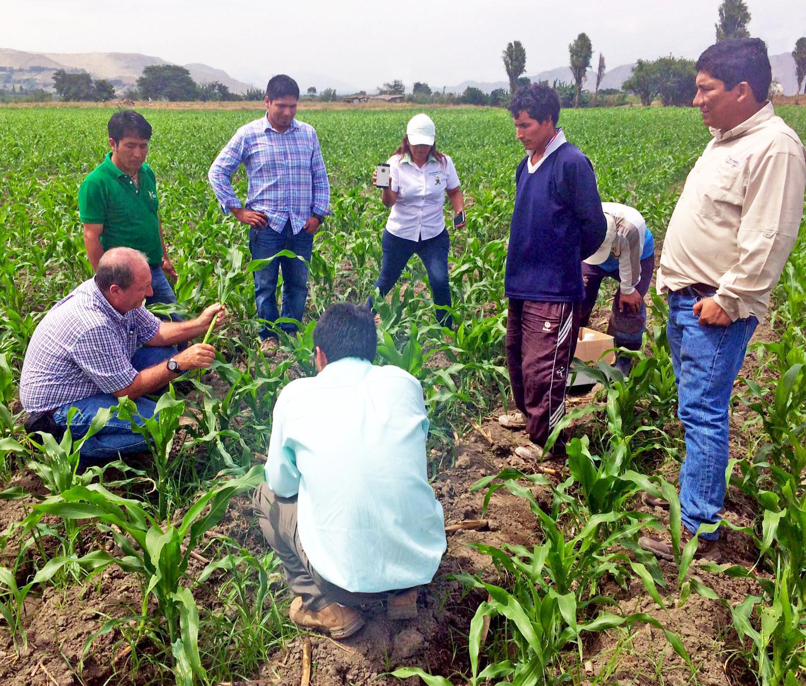 Capacitan a agricultores por el cambio climático
