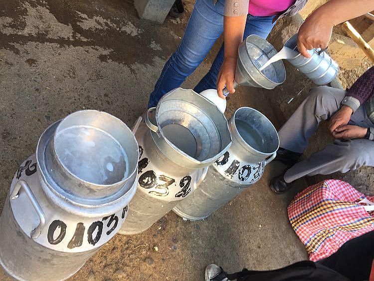 ​Gloria afirma que continuará con la compra de leche en Arequipa