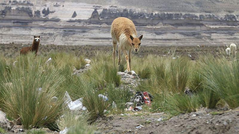 Basura en bordes de Reserva de Salinas y Aguada Blanca, problema de nunca acabar