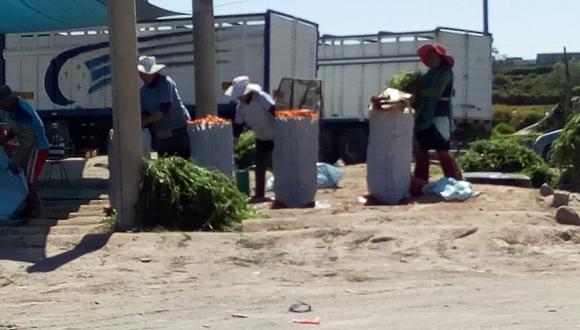 Municipio se compromete a erradicar lavadero de zanahorias clandestino.