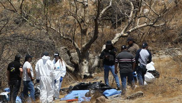 Peritos forenses trabajan con varias bolsas de restos humanos extraídos del fondo de una quebrada por un helicóptero, los cuales fueron abandonados en la comunidad Mirador Escondido en Zapopan, estado de Jalisco, México el 31 de mayo de 2023. (Foto por ULISES RUIZ / AFP)