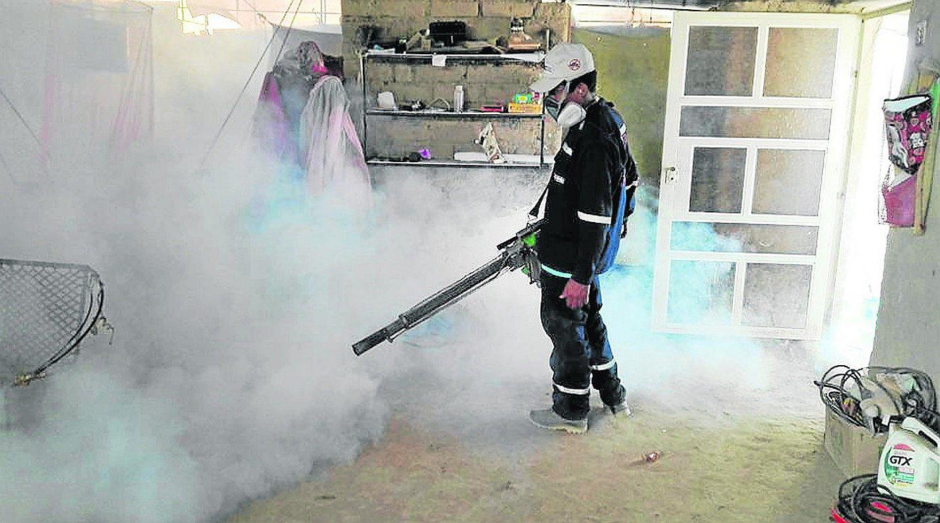 Registran brote activo de dengue: 650 casos confirmados