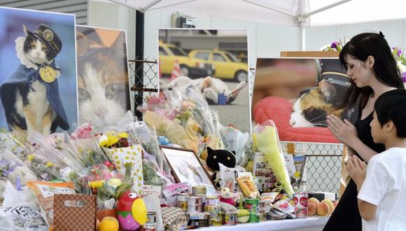 Japón: 3.000 personas asisten al funeral de la gata Tama, jefa de estación de tren (VIDEO)