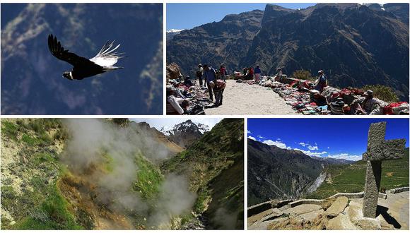 Cañón del Colca: reabren ingreso para turistas