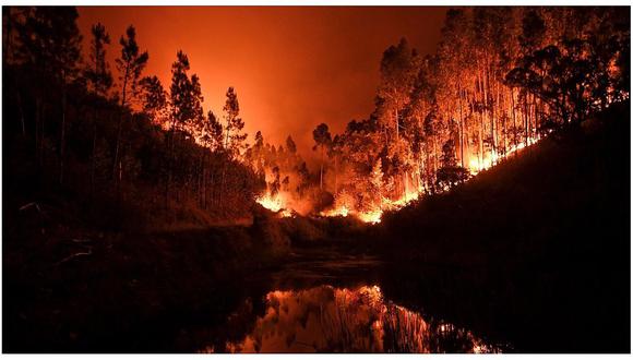 Portugal: al menos 62 muertos en inmenso incendio forestal "descontrolado" (VIDEO)
