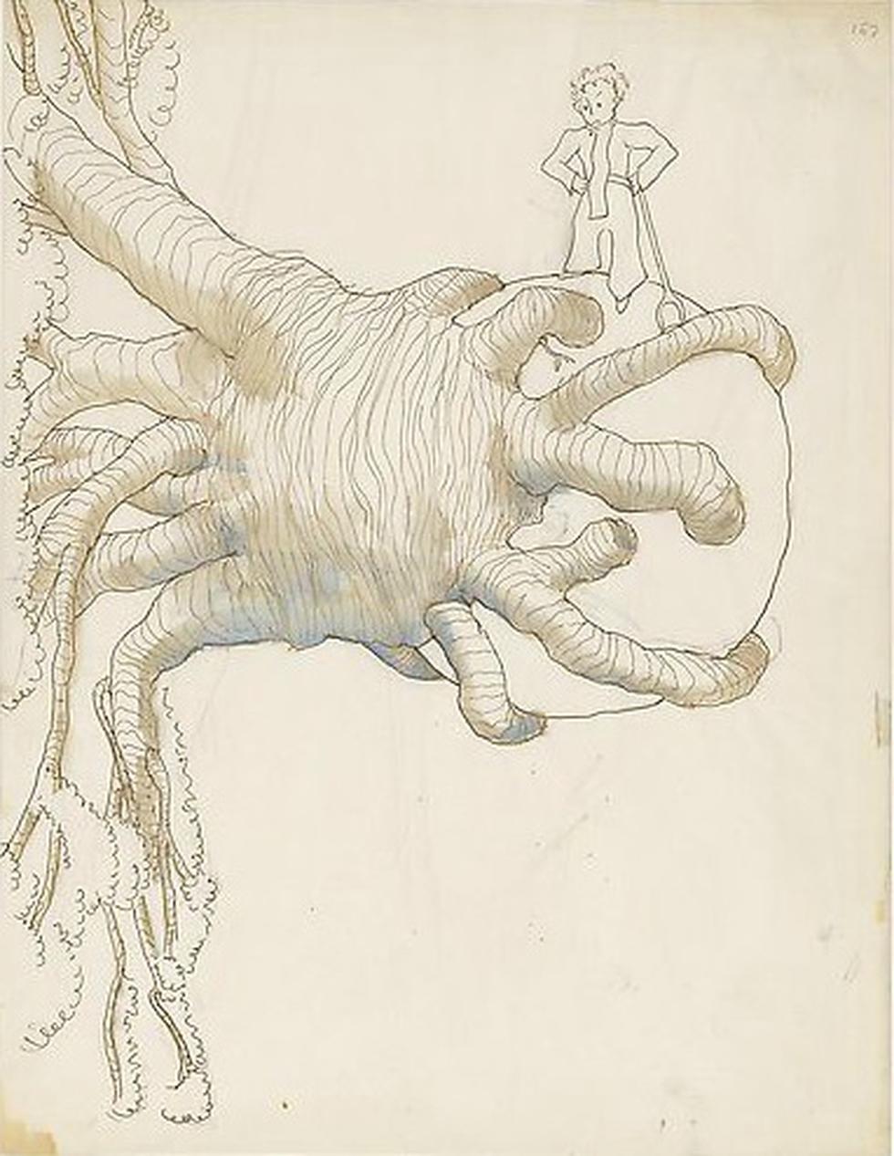 Exposición dará a conocer real final de "El Principito" y dibujos inéditos