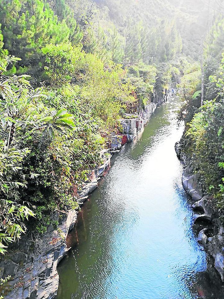 Banda de asaltantes opera aprovechando la espesura de la selva de Sandia