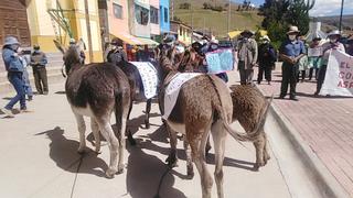 Con burros y carteles, pobladores exigen reinicio de vía al Canipaco en Huancayo