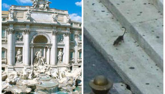 Italia: ​Ratas y ratones invaden la Fontana y horrorizan a turistas