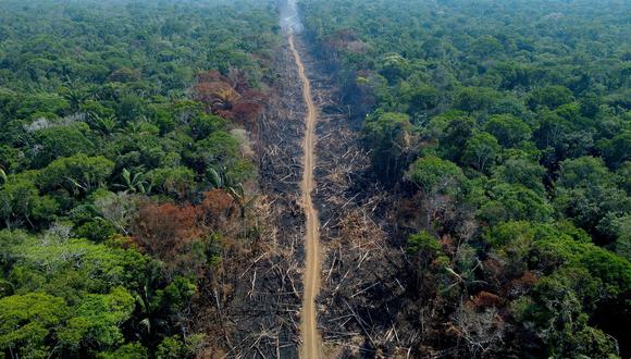 Una vista aérea de un área deforestada e incendiada en un tramo de la BR-230 (carretera transamazónica) en Humait , estado de Amazonas, Brasil. (Foto de MICHAEL DANTAS / AFP)