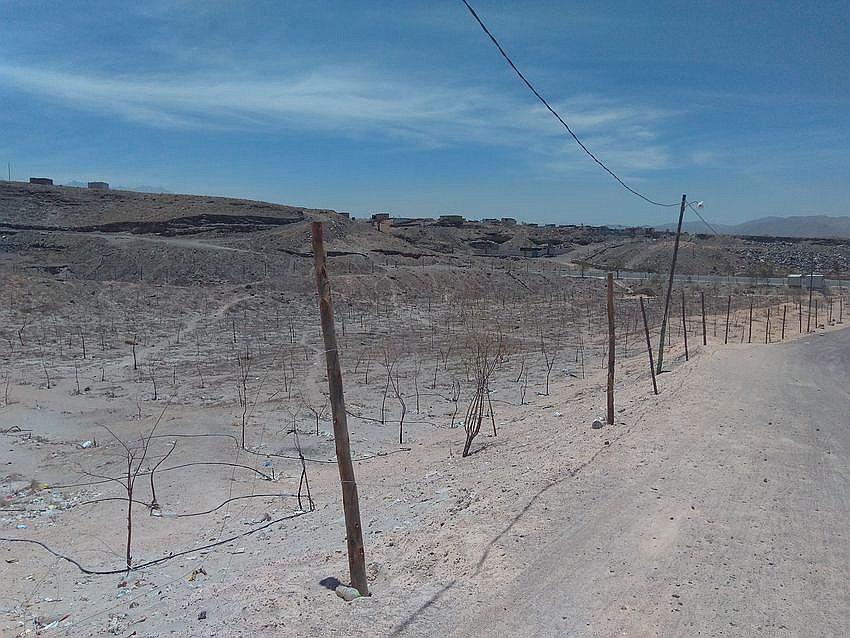 Denuncian intento de invasión en el Cono Norte
