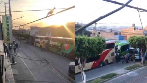 Buses varados en la carretera porque transportistas de cargan la bloquean. Foto: Facebook
