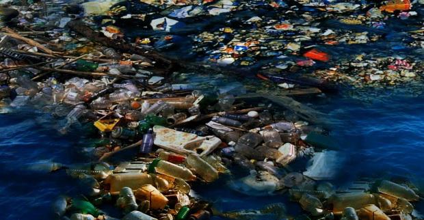 Conoce el 'octavo continente' que se encuentra en el Océano Pacífico (VIDEO)