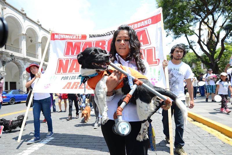 Ley contra maltrato animal fue aprobada por comisiones y va al pleno del congreso