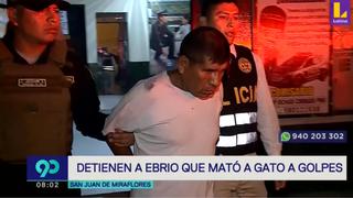 Hombre que mató un gato a golpes fue capturado en San Juan de Miraflores (VIDEO) 