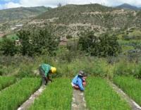 Gerencia de recursos naturales será Autoridad Ambiental