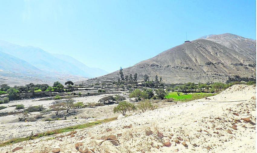 Gerencia de Agricultura tiene 3 mil expedientes de formalización de predios