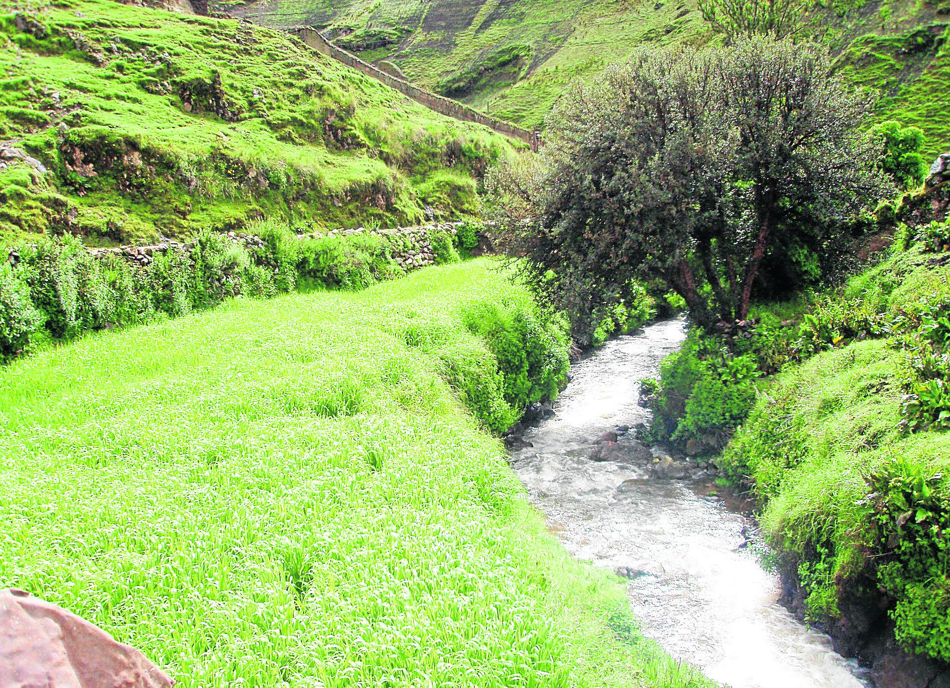 Pasco: Seis ríos se llenan de plomo, zinc y cobre