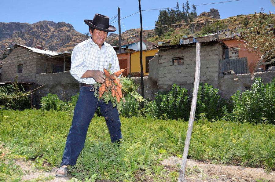 Productores de Moquegua venden hortalizas a Quellaveco