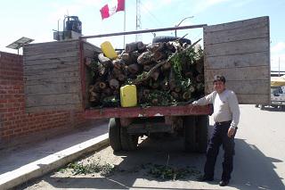 Intervienen camión que llevaba madera guayacán protegida por el Estado