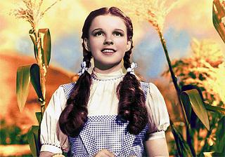 Venden traje de Dorothy 