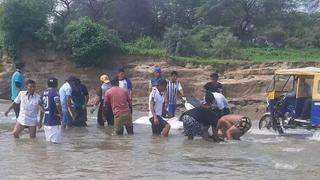 Lluvias en Piura: Rescatan a conductor de quebrada Paccha