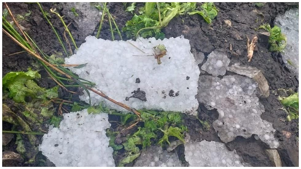 ​Intensa granizada habría perjudicado hectáreas de siembra en Canipaco (FOTOS)