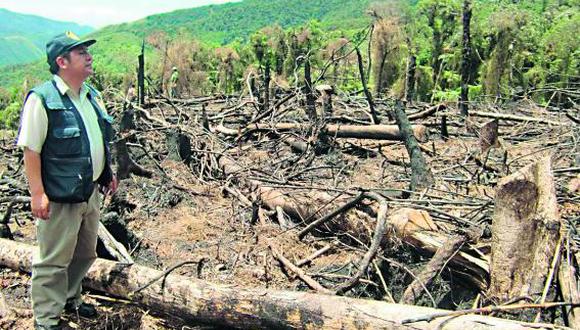 Depredación y tala ilegal ocasionan pérdidas millonarias en la amazonía, aseguran expertos