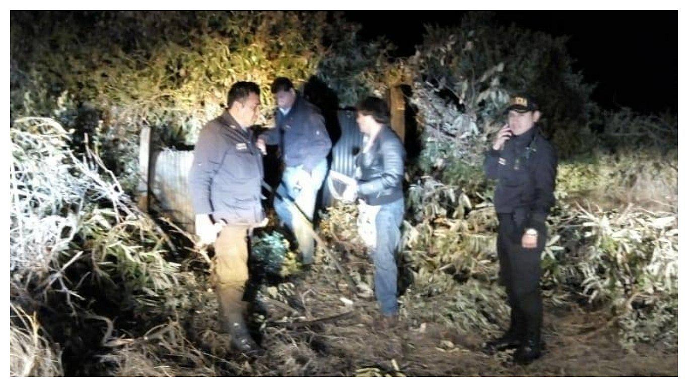 Seis delincuentes se llevan bienes de empresa privada valorizadas en S/ 200,000 