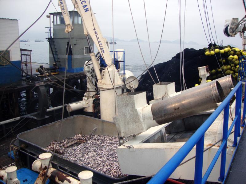 Consejera reitera oposición a reactivar el PAAR