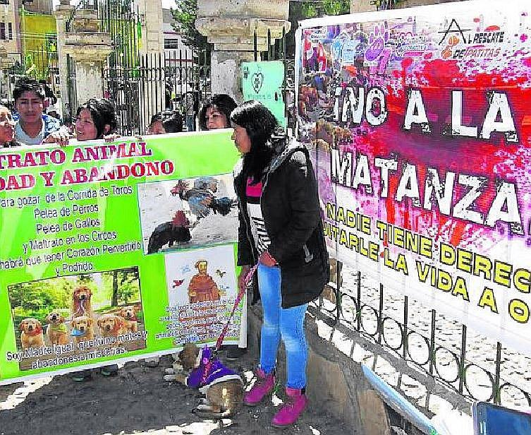 Autoridades rechazan matanza de más de 60 mil perros callejeros en Juliaca