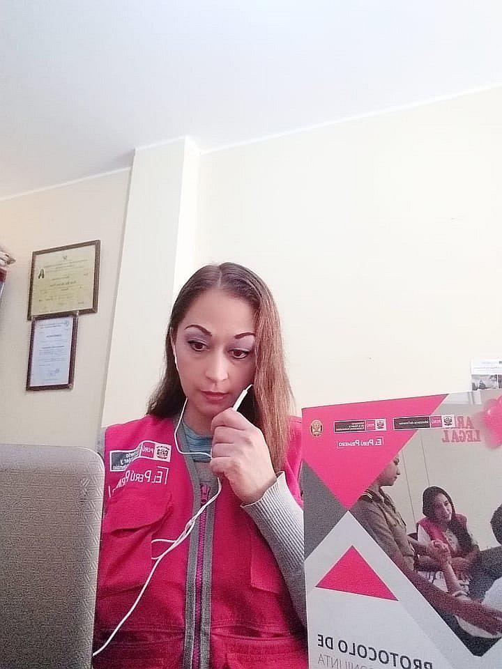 Ica: Más de 600 llamadas de violencia durante estado de emergencia