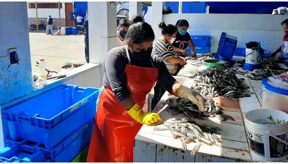 Se refuerza protocolos de sanidad en zona pesquera conocida como ‘La poza’ en Cerro Azul. (Foto: Difusión)