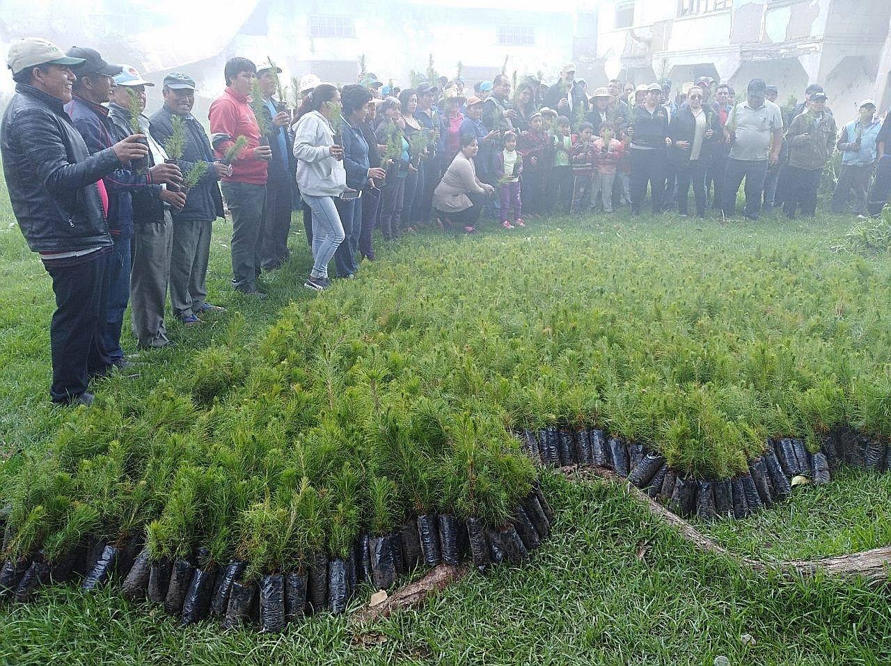 Lambayeque: Pobladores reforestan zonas altas en bosques de Udima