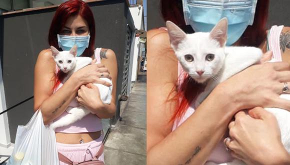 La modelo vienen compartiendo divertidos videos en Instagram de su gatito blanco que adoptó en Acariciando Huellitas. (FOTO: Acariciando Huellitas)