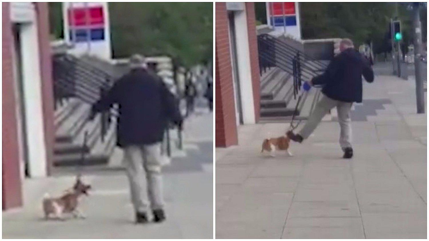 Facebook: indignación por hombre que pateó salvajemente a su perro (VIDEO)