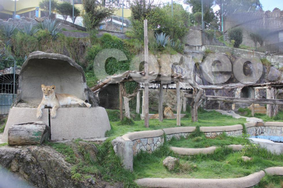 El nuevo parque para los animales en el zoológico de Huancayo (FOTOS)