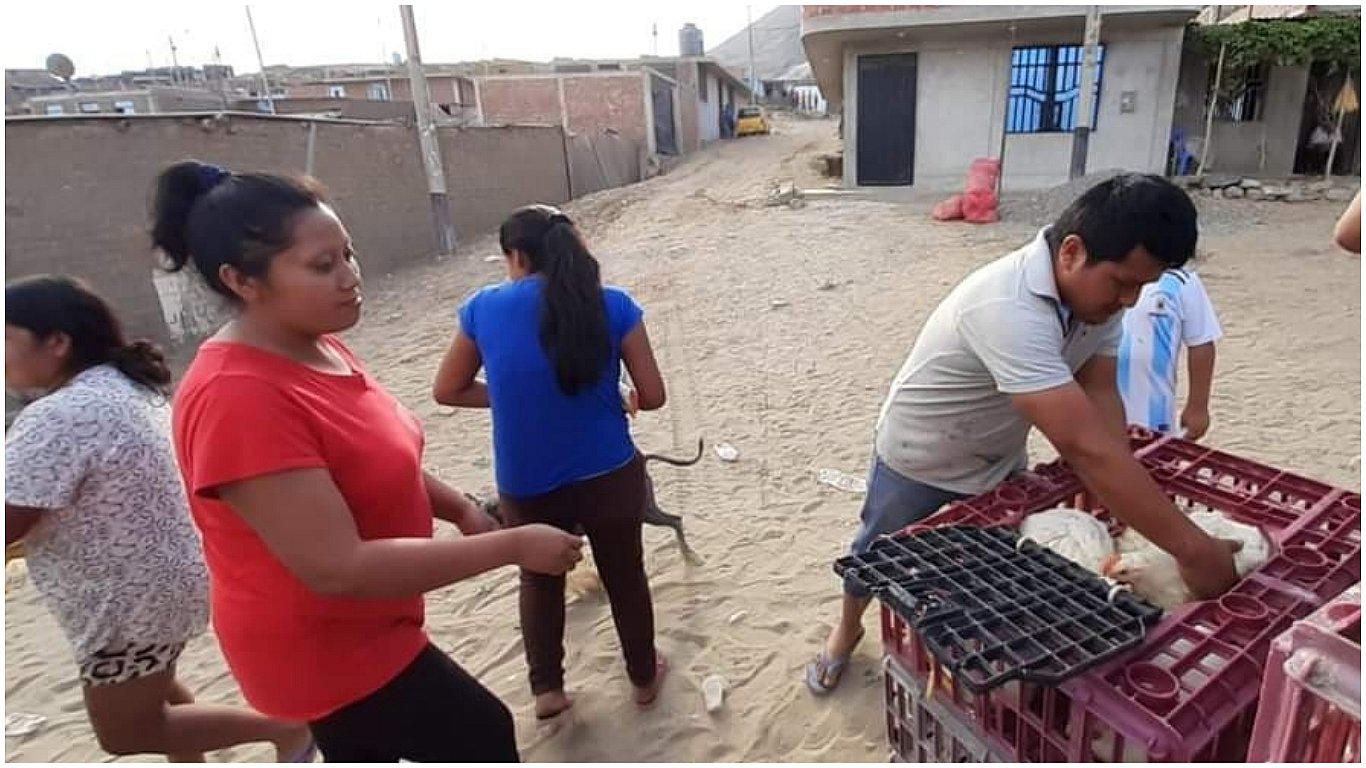 Donan más de 10 mil pollos para la población de El Porvenir 